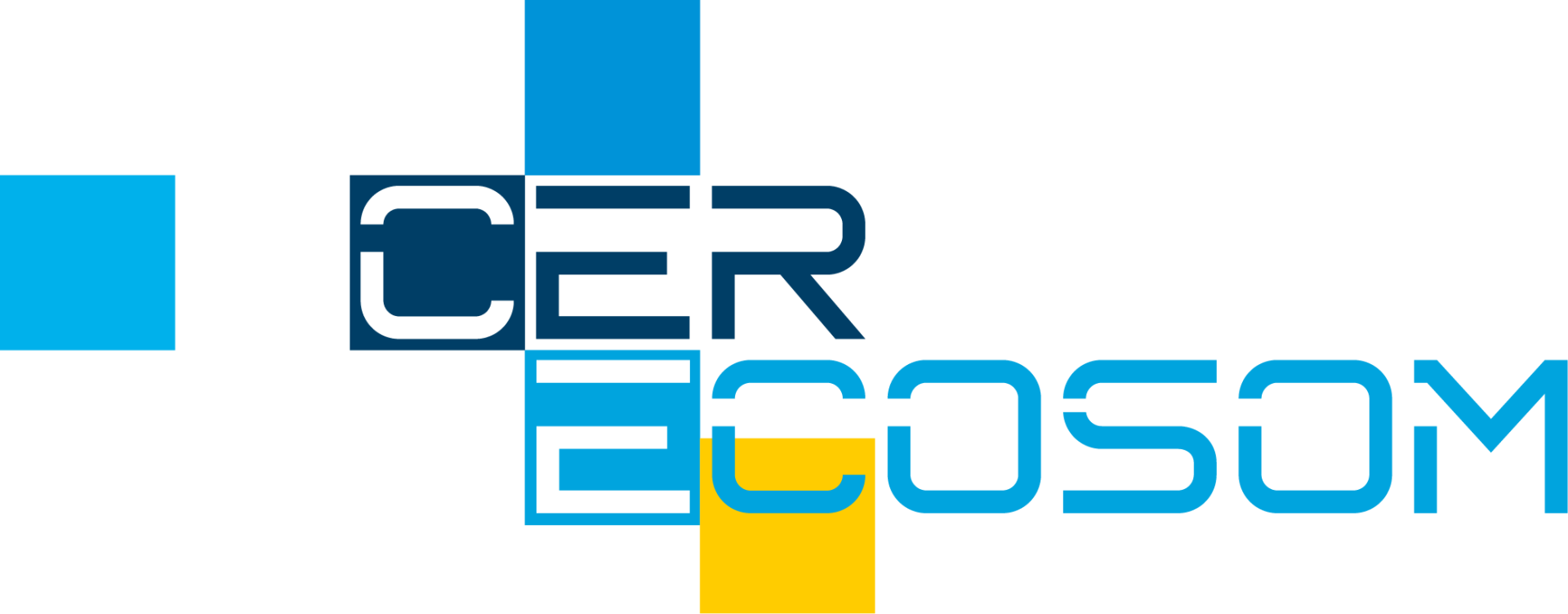 CER ECOSOM Icons 9